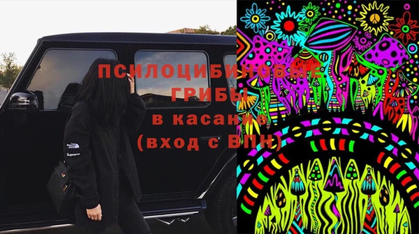 PSILOCYBIN Алексин