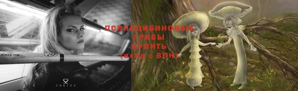 ешки Алексеевка