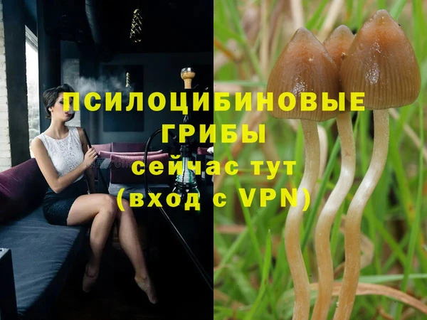 PSILOCYBIN Алексин