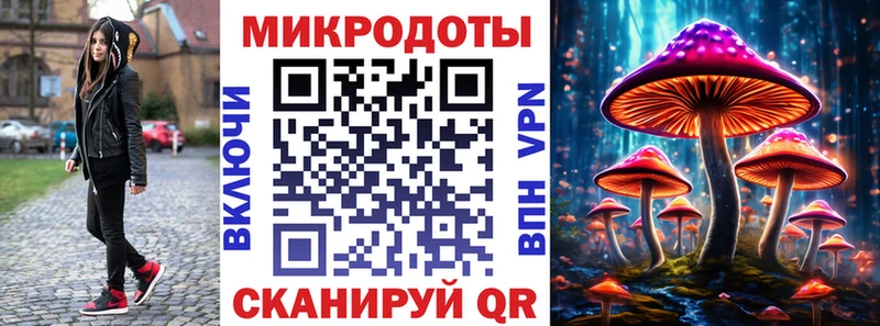 Псилоцибиновые грибы Psilocybine cubensis  Кумертау 