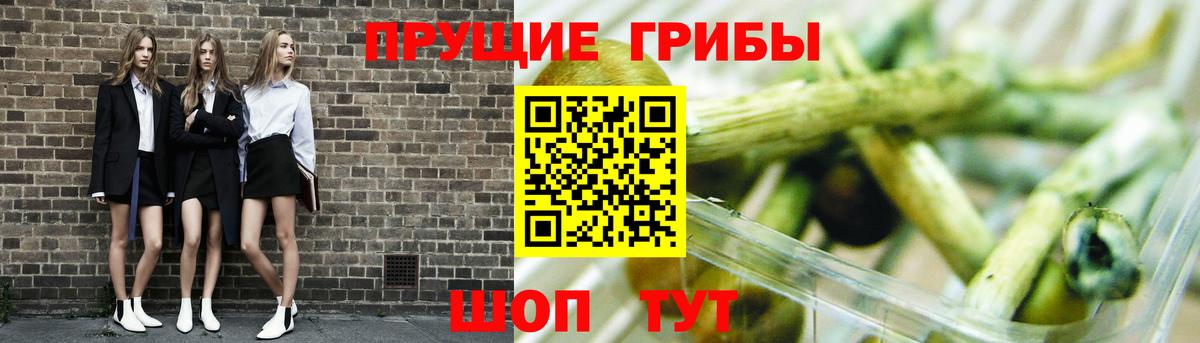 Галлюциногенные грибы Psilocybe  Вход с VPN  Кумертау 